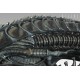 SIDESHOW Alien Warrior 1:1 Life-Size Bust